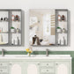 30'' x 28'' Medicine Cabinet with Mirror