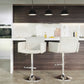 Stout Contemporary Adjustable Barstool with Swivel