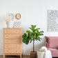 25x25x52"H Fiddle Fig Leaf Tree, 40 Leaves