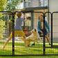 Dog Playpen 40 Inch - 16 Panels Heavy Duty Metal Pet Exercise Pen