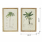 Set of 2 Tree Framed Prints