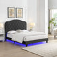 Queen Upholstered Bed Button Tufted with Curve Design