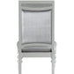 Maverick Fabric & Platinum Finish Side Chair (Set of 2)