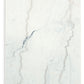 Burkhaus - Rectangular Cocktail Table - White / Dark Brown