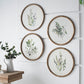 Flora Print Round Frame Set of 4