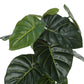Artificial Alocasia Plant - 24" Tall Indoor Faux Greenery