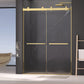 Dual Sliding Frameless Shower Door