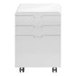 Rolling Mobile File Cabinet with Storage Drawers
