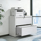 Lateral File Cabinet 2 Drawer