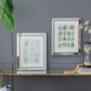 S/2 Liana Mirror Framed Wall Art