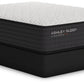 Limited Edition Firm - Mattress