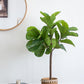 25x25x52"H Fiddle Fig Leaf Tree, 40 Leaves