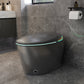 Unique Smart Toilet with Built-in Bidet