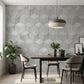 Hexagon Carrara Gray Marble Wall Décor