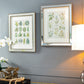 S/2 Liana Mirror Framed Wall Art