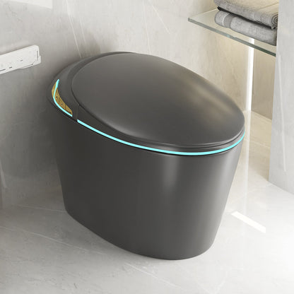 Unique Smart Toilet with Built-in Bidet