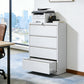 4 Drawer Lateral File Cabinet