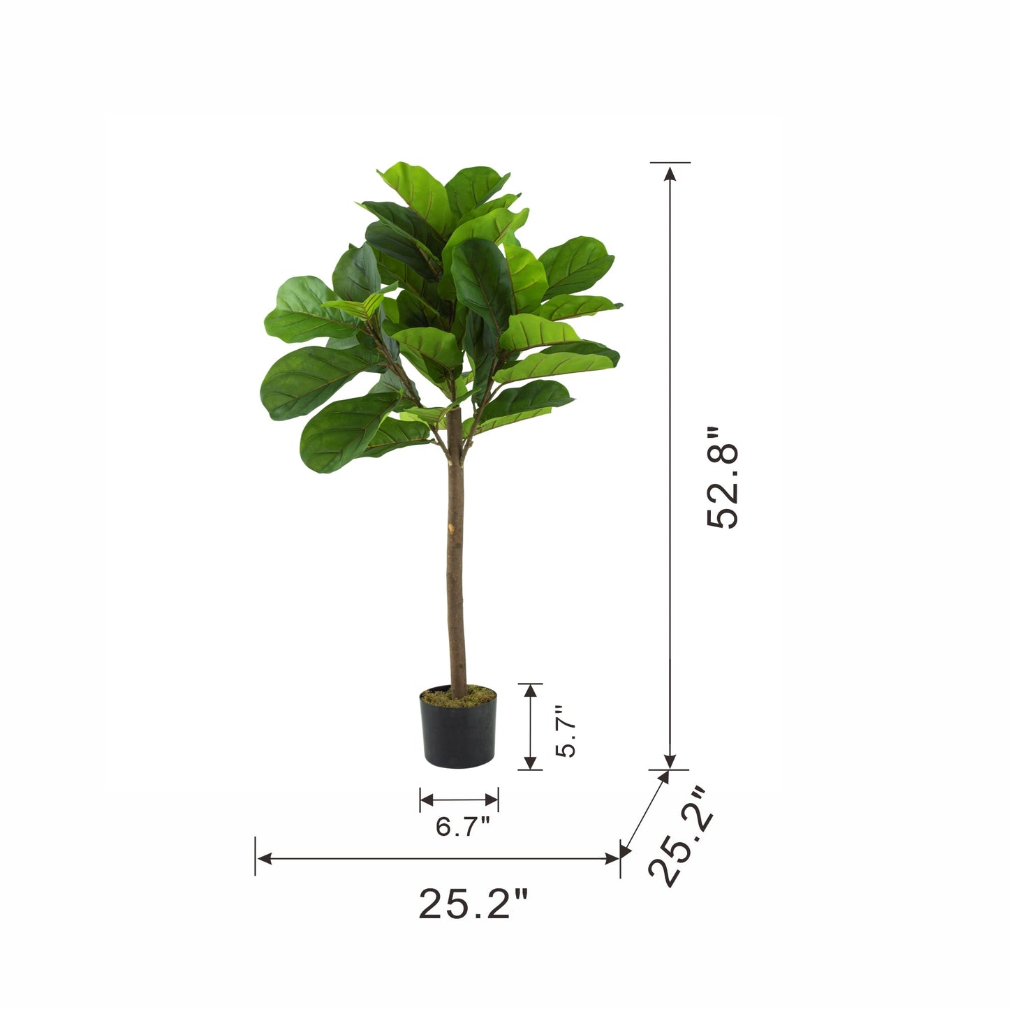 25x25x52"H Fiddle Fig Leaf Tree, 40 Leaves