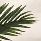 6FT Artificial Palm Tree