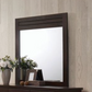 Panang Mahogany Finish Mirror