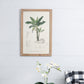 Set of 2 Tree Framed Prints