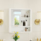 Modern Bathroom Mirror Cabinet