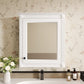24'' x 27'' Wall Mounted Bathroom Storage Cabinet with Mirror