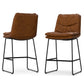 Danika Counter Height Stool (Set of 2)