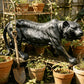 Simulated Black Tiger Statue
