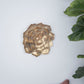 D10x1.4" Succulent Wall Plaque - 2 Piece