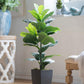 20" x 16" x 35" Artificial Fiddle-Leaf Fig Potted Plant