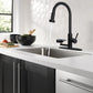 3-in-1 Kitchen Faucet with Press-Type Glass Rinser