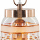 Jal Ceiling Light - Clearance