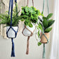 Macrame plant hangers. Spiral design. made to order