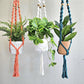 Macrame plant hangers.  Ready to ship.