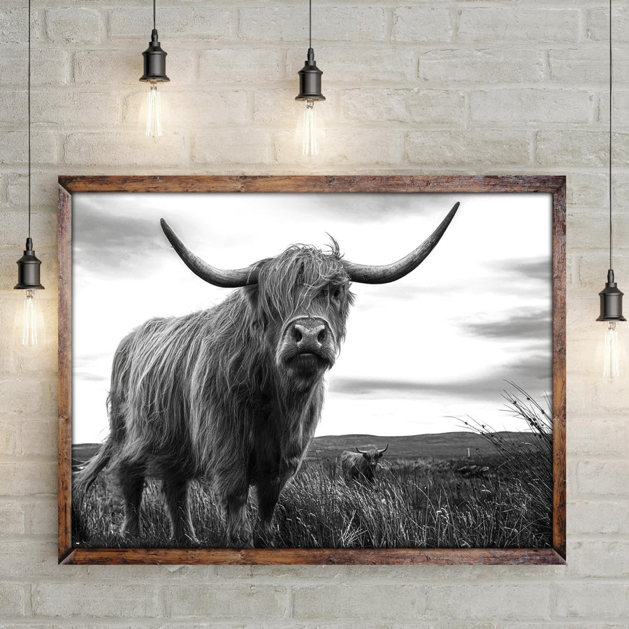 Highland Cow Black And White Portrait Canvas Wall Art