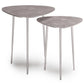 Shelton 2 Piece Metal Nesting Table - Nickel