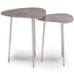 Shelton 2 Piece Metal Nesting Table - Nickel